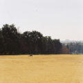 Emmarentia Dam Park Johannesburg South Africa Film Photography