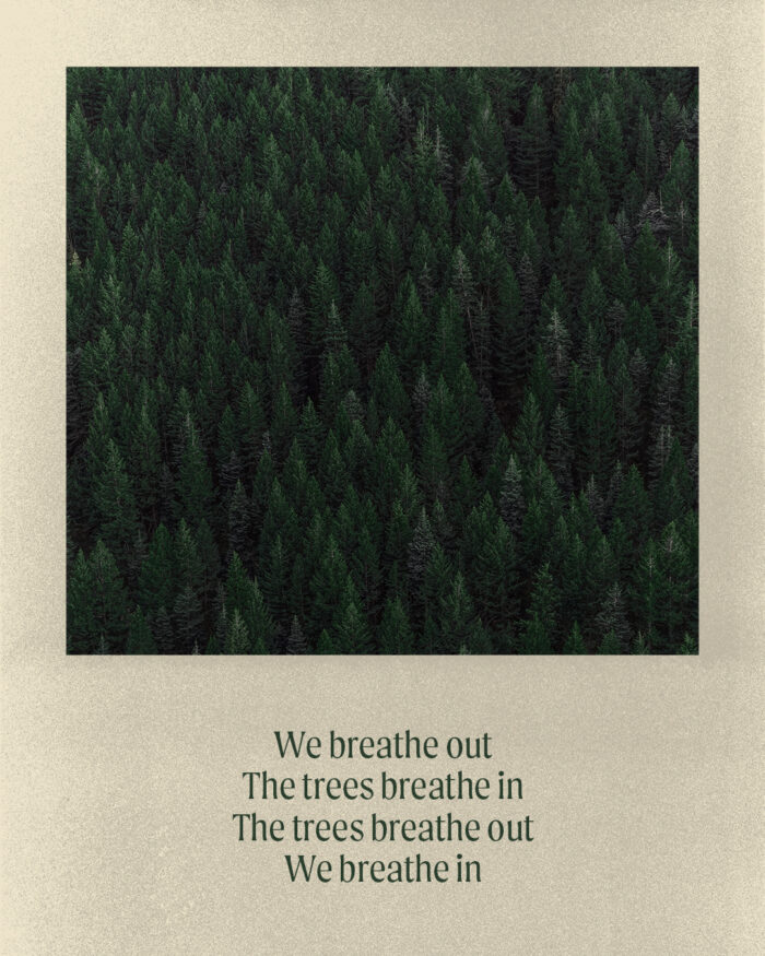 Breathe