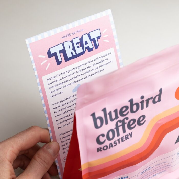 Bluebird Coffee Roastery Project Next Gen 2025